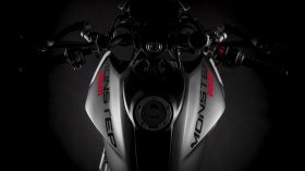 Ducati Monster Puls 2021 115