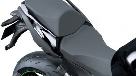 Kawasaki Ninja 1000SX 2020 51