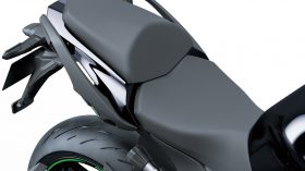 Kawasaki Ninja 1000SX 2020 52