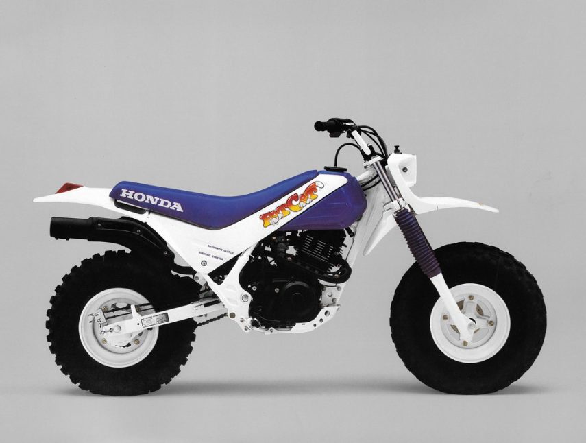 Moto del día: Honda TR 200 Fat Cat | espíritu RACER moto