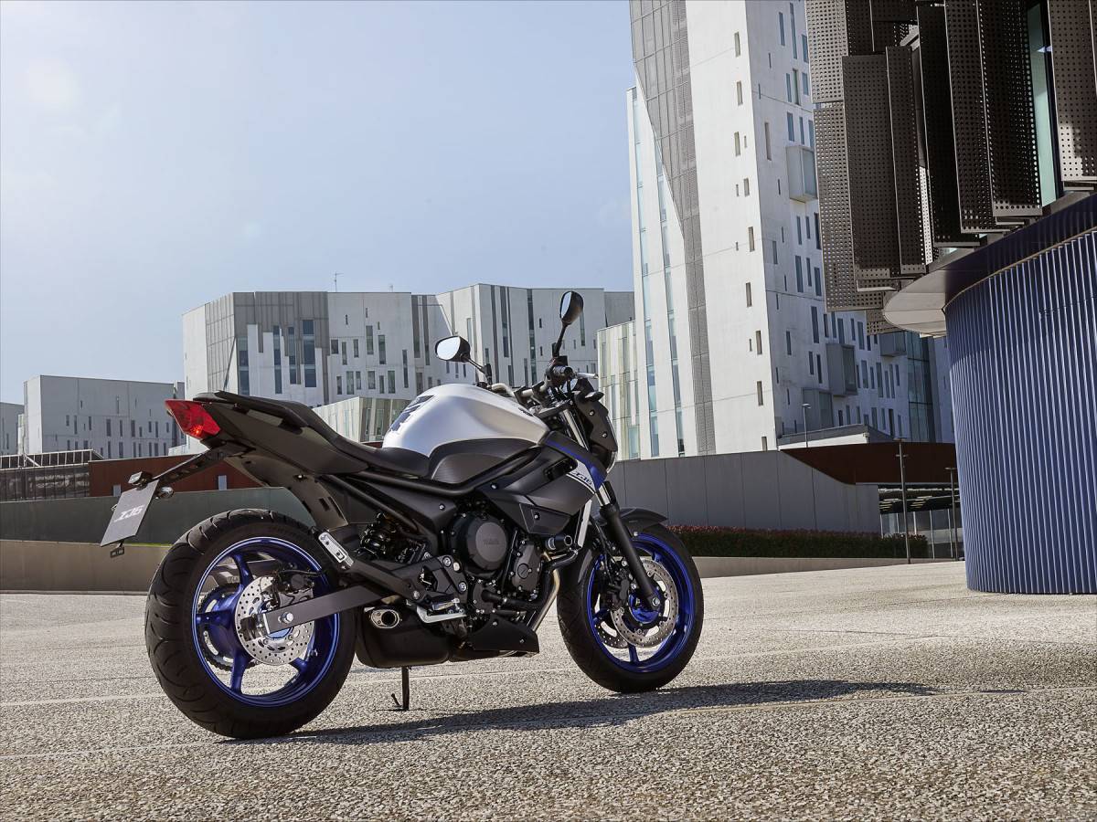 Todos los años Tectónico charla Moto del día: Yamaha XJ6 - espíritu RACER moto