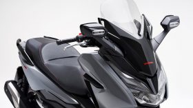 Honda Forza 300 Deluxe Limited Edition 2020 12