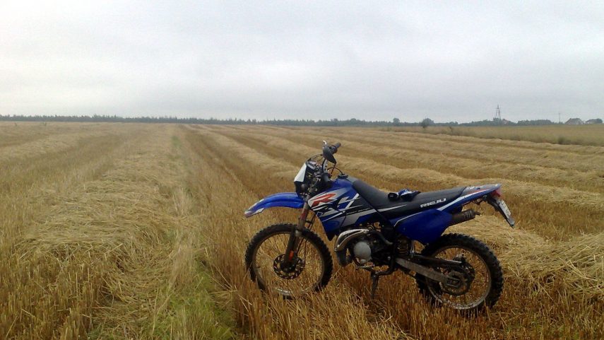 Rieju RR Sport 50 5
