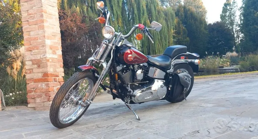 Harley Davidson Softail Springer (1)