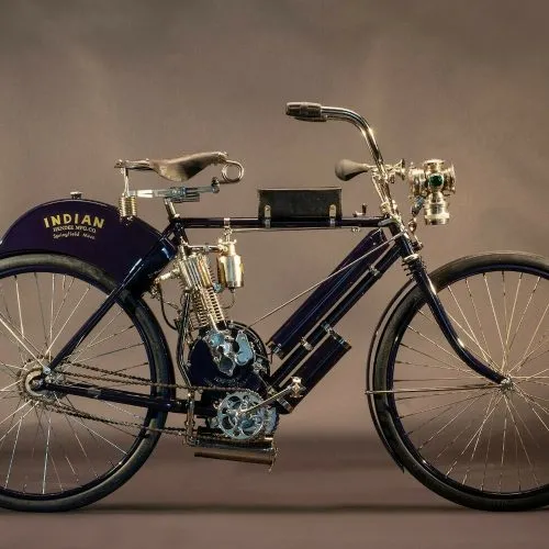 indian hedstrom camelback (1)