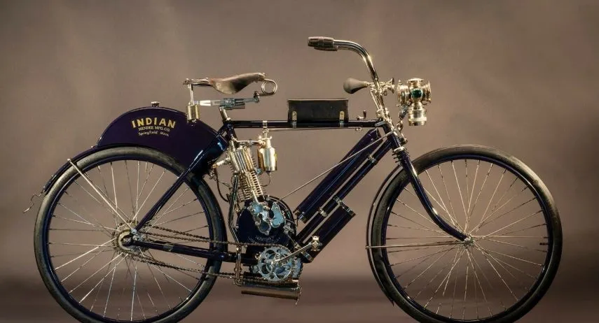 indian hedstrom camelback (1)