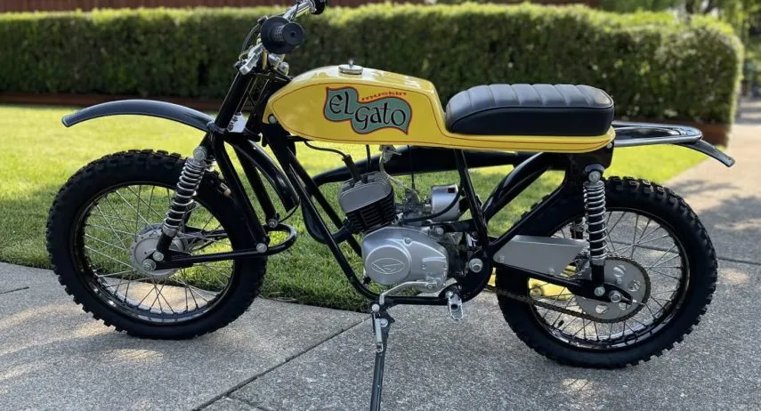 Muskin El Gato Mecum Auctions