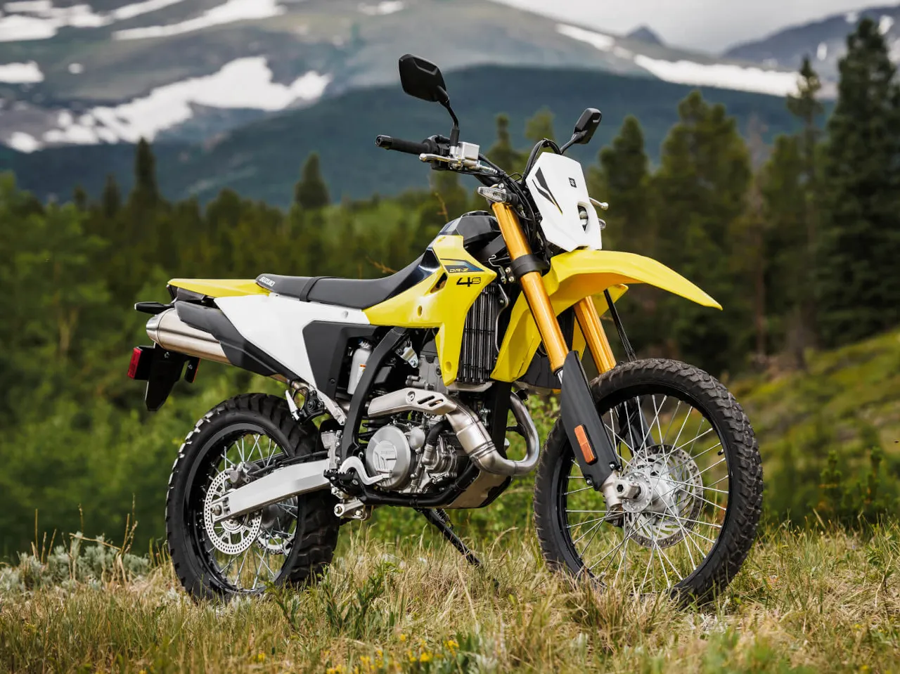 Suzuki DR Z4S