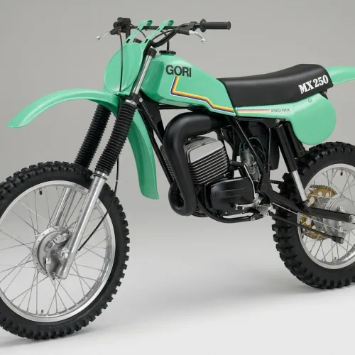 Gori MX250 (1)