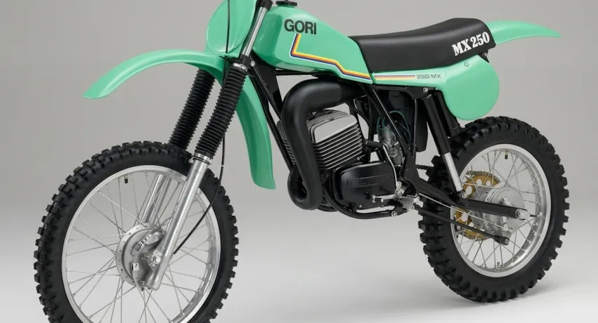 Gori MX250 (1)