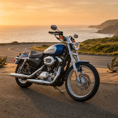 Harley Davidson XL1200C Sportster Custom (1)