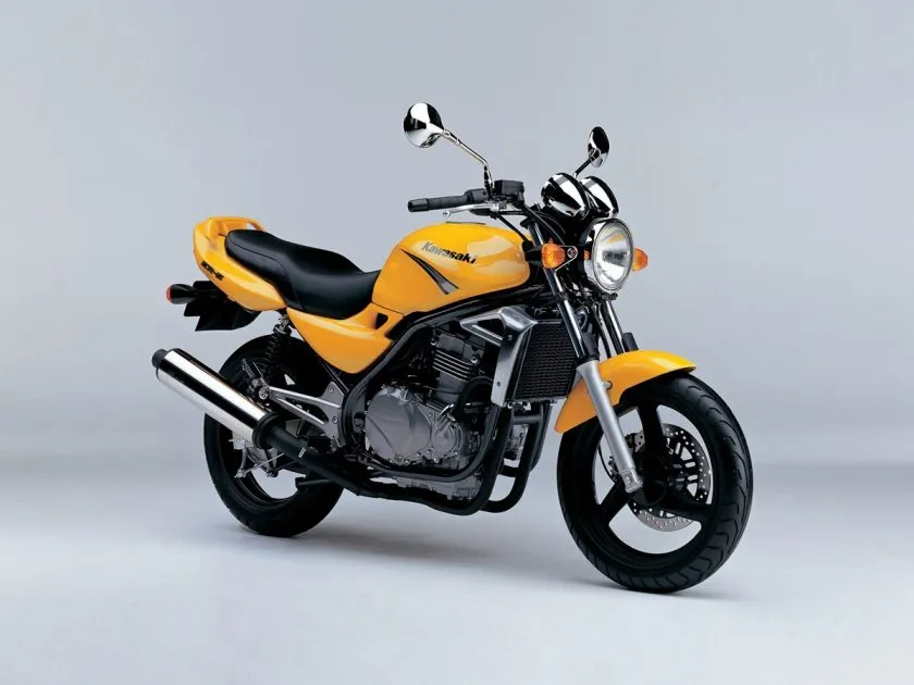 Kawasaki ER 5 (2001)