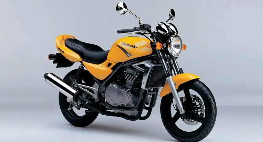 Kawasaki ER 5 (2001)